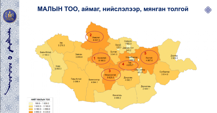 Удам залгасан залуу малчдыг урамшууллаа