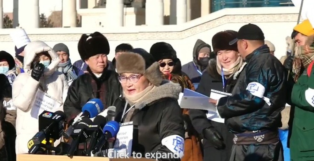 Малын эмч нар тайван жагсаал эхлүүлэв