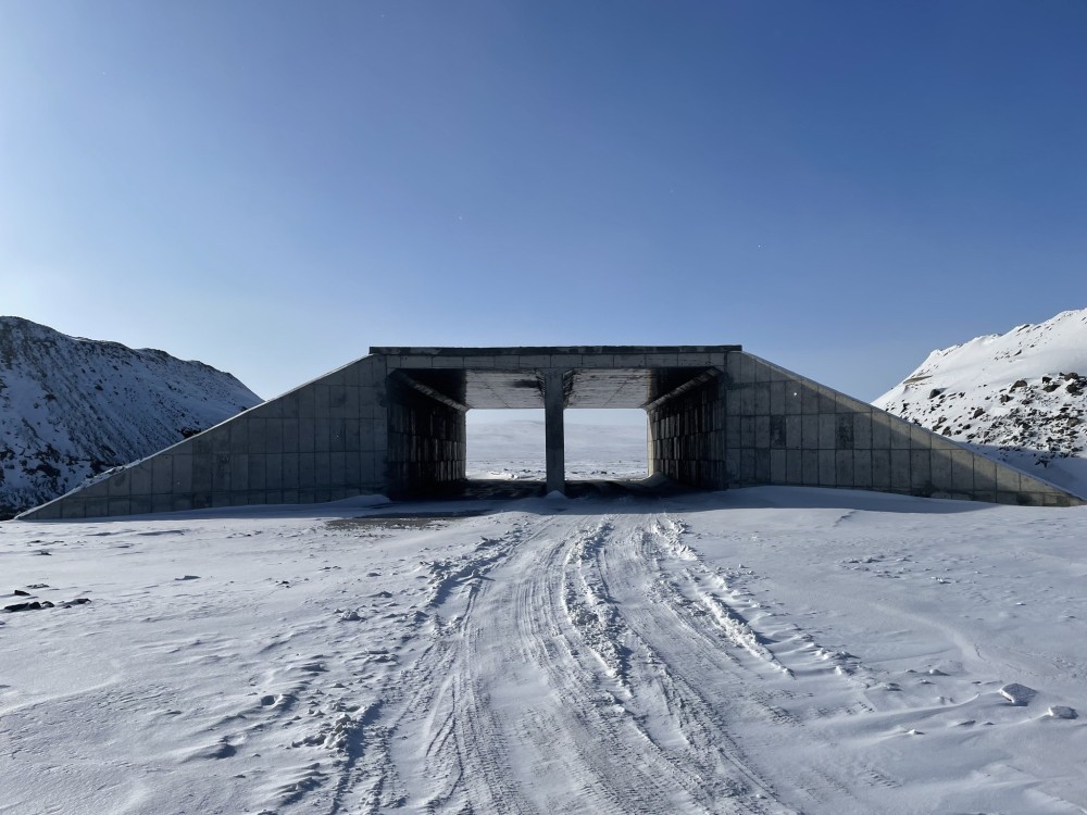 Зэрлэг амьтдад ээлтэй дэд бүтцийн стандартууд хэрэгжиж, бодит үр дүн гарч эхэлжээ