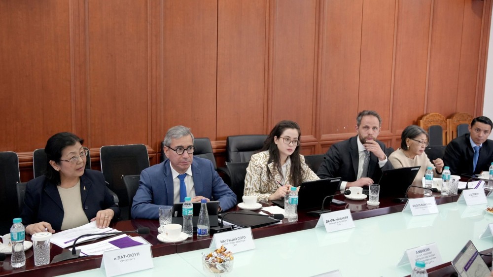 ОУВС-ийн төлөөлөгчид цалин хөлс, тэтгэврийн даатгалын асуудлаарх зөвлөмжөө танилцууллаа