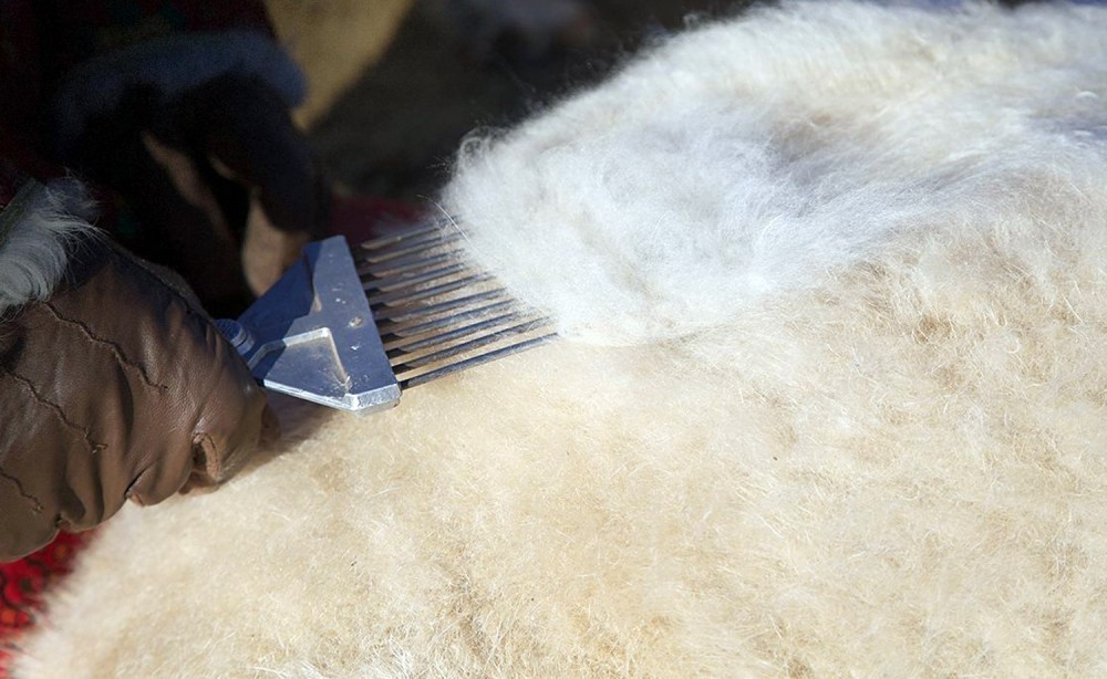 Ноолуурын үйлдвэрлэлийг дэмжих тухай Засгийн газрын тогтоолыг баталлаа